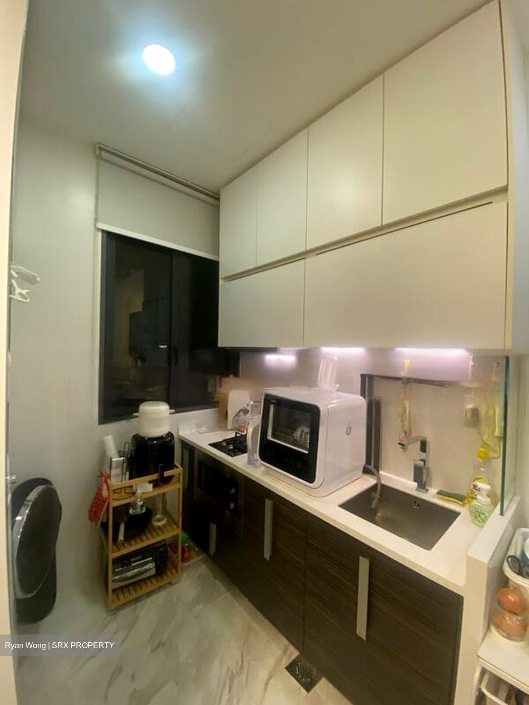 Wishart Road (D4), Condominium #448650291